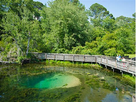 Magnolia springs state park ga - Beautiful Magnolia Springs State Park is known for its crystal clear springs flowing 7 million gallons per day. A boardwalk spans the cool water, allowing visitors to look for alligators, turtles and other wildlife near the springs. ... Magnolia Springs State Park, GA. Status: Open year round. Season Dates Max reservation window: Thu Mar 06 ...